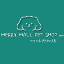 펫샵 이미지