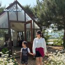 우노디자인 | 스케쳐스 샌동화 추천 디럭스 컴포트 2.0 우노 라이즈 후기 (육아맘 신발·키즈 샌동화)