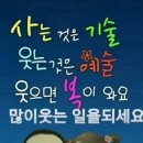 개팔자 상팔자 이미지