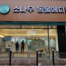 소나무동물메디컬 센터 이미지