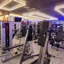 알앤비 휘트니스 이미지