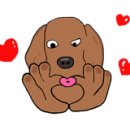 오늘도 신나개 이미지