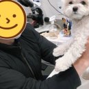 과천우주동물병원 이미지