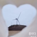 뮤지엄비치캠프 이미지