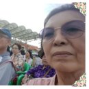 양양문화제 Daum카페