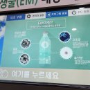 서초2동 주민센터 이미지