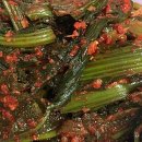 혜미복집 이미지