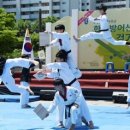 태극태권도장 이미지