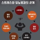 스트레스의 정체 이미지