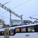 하이디상점 | 스위스 루체른 리기산 기차타고 등반 후기