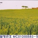 D00401 네이버블로그