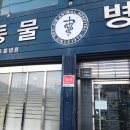 서진동물병원 이미지