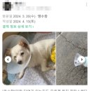 하나로동물병원 이미지