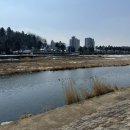 남대천제방길 이미지