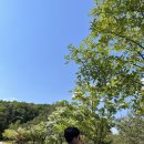 소노펠리체 비발디파크 이미지