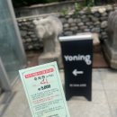 청담빌딩 | 청담 요닝 ㅣ 지현 실장님 하이레이어드컷 컷트 대만족 내돈내산 후기