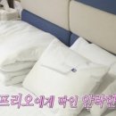 퀸오락실 이미지