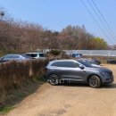 안골보리밥 이미지