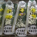 좋은삼정병원 이미지