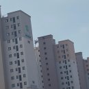 레이크포레 | 대전 방충망 교체, 갑천3블럭 트리풀시티 레이크 포레 먼지 없는 시공 후기