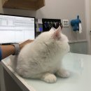 문화동물병원 이미지