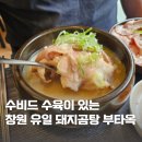 유일곰탕 | 창원 용호동 맛집 돼지곰탕 수비드수육 부타옥