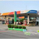 임진농협주유소 이미지