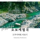 오보니 | 도쿠시마 여행 오보케협곡 유람선 버스투어