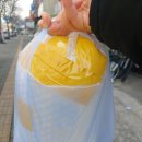 소마 새우농장 | 남기는 새우 방문 봉달 구매 후기 (블러디메리, 선키스트, 산타비 새우 / 소마 새우농장, 그린네온...