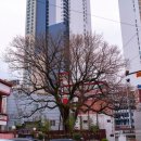 회화경로당 이미지