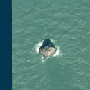 죽항도선착장 | 진도에서 맹골도까지 선상유람기