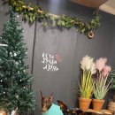 디제이 뭉 이미지