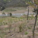 회성동161 이미지