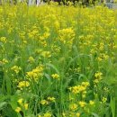 호두부동산공인중개사사무소 이미지