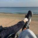 해송피크닉장 이미지