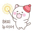 애견호텔중독