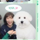 셰프PC방 강남점 | 으라파 라구라구