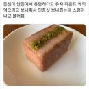 맘모스숯불갈비 이미지