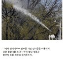밤섬이야기 이미지