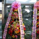 (주)라이브웍스컴퍼니 이미지