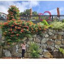 뉴여차펜션 이미지