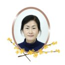 ㈜서울고속관광 이미지