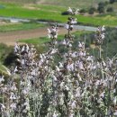 CW-2112-01 이미지