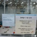 오감그리다 동탄점 후기｜물놀이부터 모래놀이까지 알차게 즐긴 체험형 키즈카페