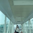 금오름농장 | 2박3일 제주도 우정여행 첫째날 (+고기국수,순대 맛집/대형카페/금오름)