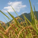 賴及萬方 이미지