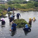오조리마을회 이미지