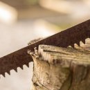 양지-3367 이미지