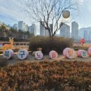 노을빛 정원 이미지