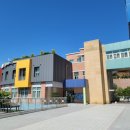 리틀윌링스 이미지